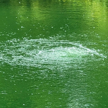 Vanguard Hydro Torque Solar Series Aeration System Bubbles On Water Surface